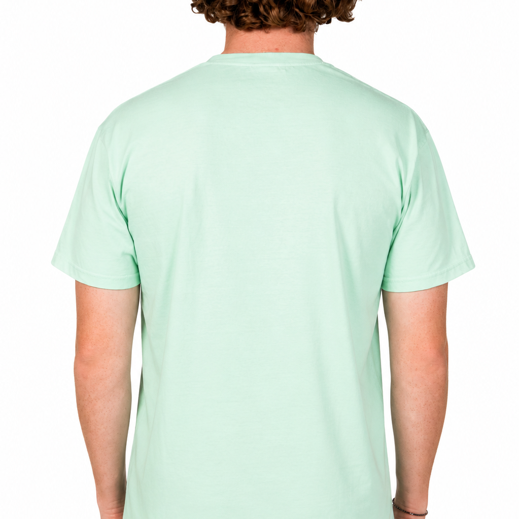 Back view of a male model wearing a mint green short-sleeve t-shirt against a clean white studio background.
