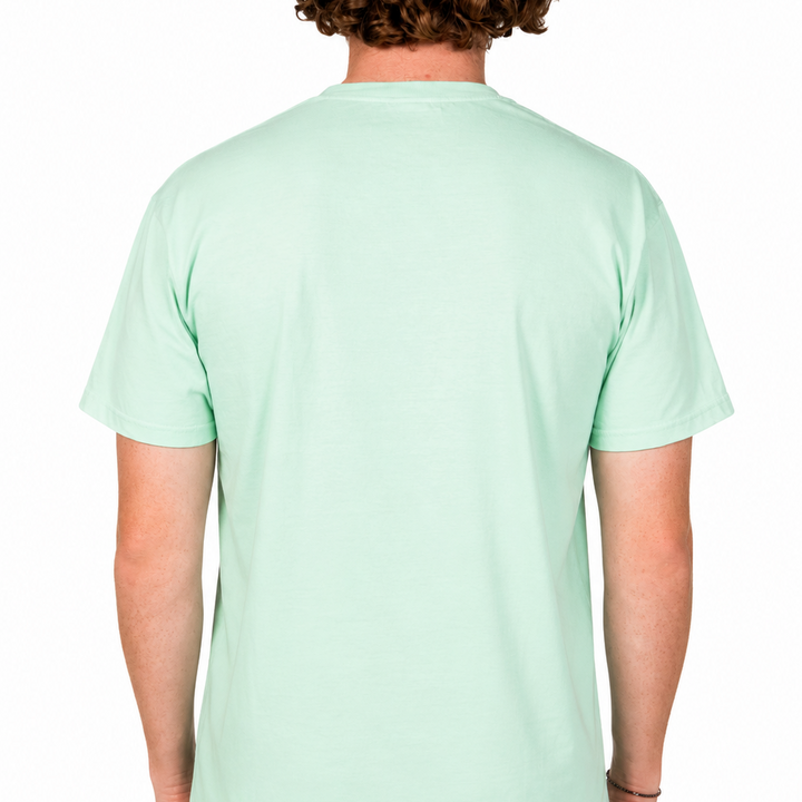 Back view of a male model wearing a mint green short-sleeve t-shirt against a clean white studio background.
